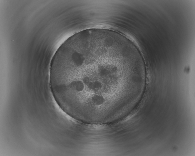 X0000110921095200907021453
