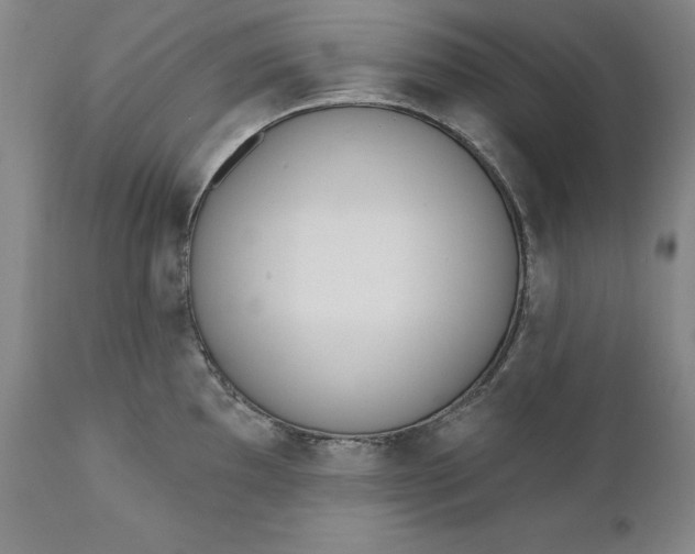 X0000110921097200907021453