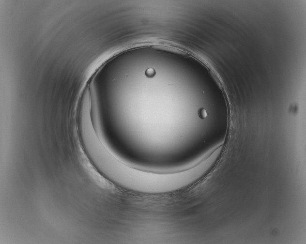X0000110921098200907021453