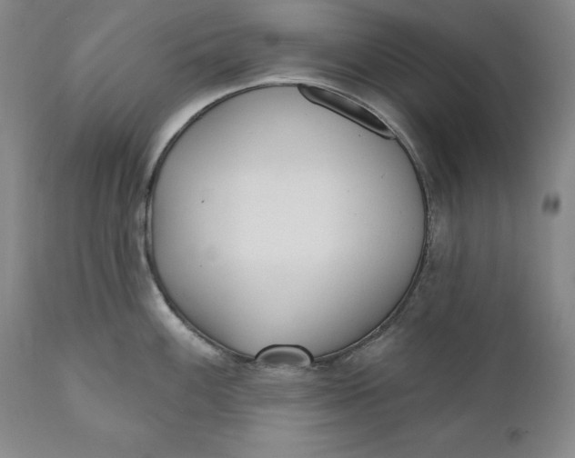 X0000110921100200907021453