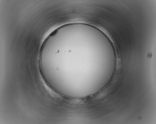 X0000110921101200907021453