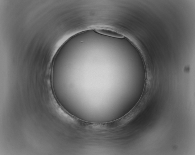 X0000110921102200907021453