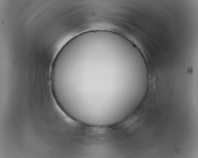 X0000110921103200907021453