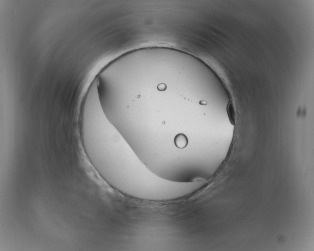 X0000110921104200907021453