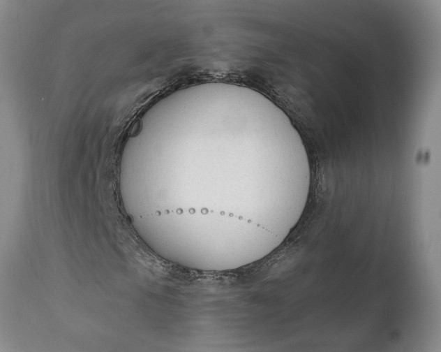 X0000110921105200907021452