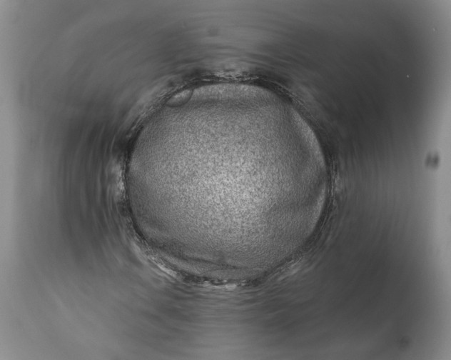 X0000110921106200907021452