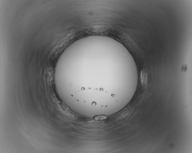 X0000110921107200907021452