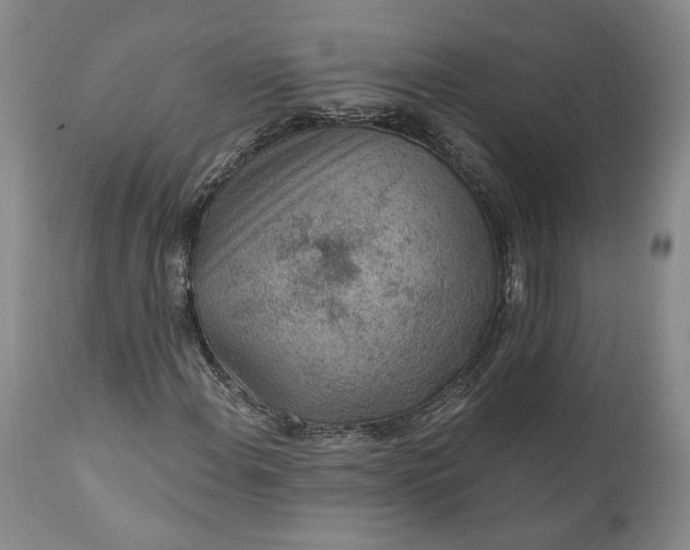 X0000110921108200907021452