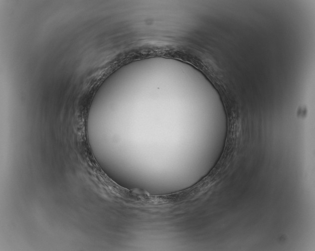 X0000110921109200907021452