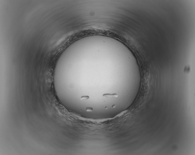 X0000110921110200907021452