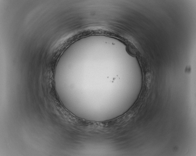 X0000110921111200907021452