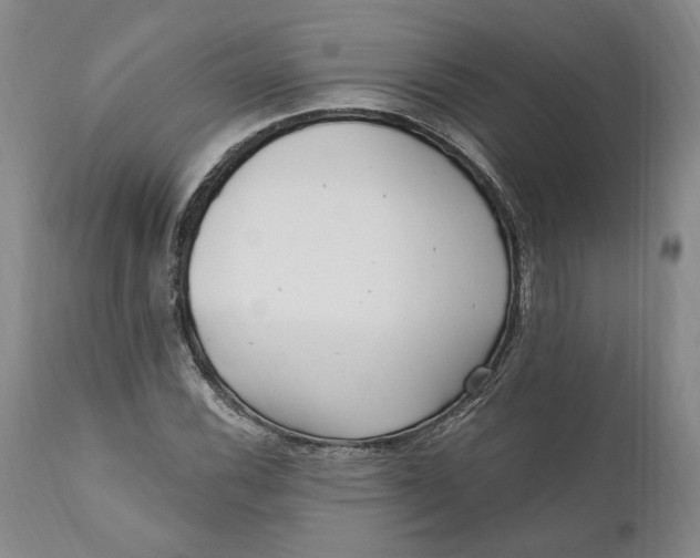 X0000110921116200907021452