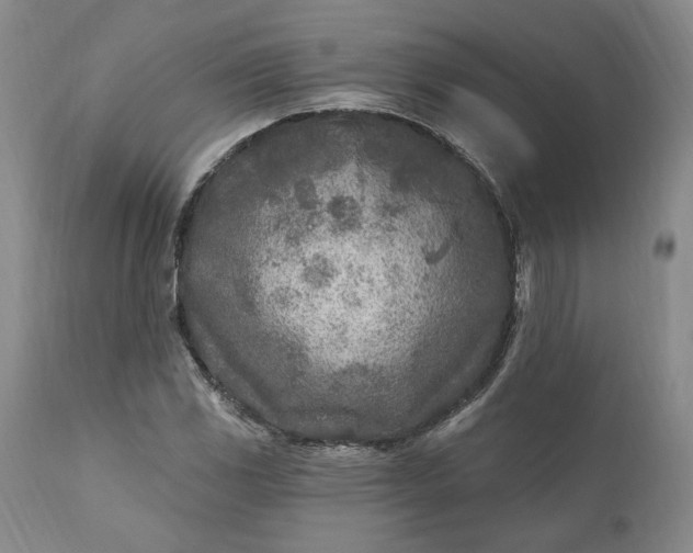 X0000110921117200907021452