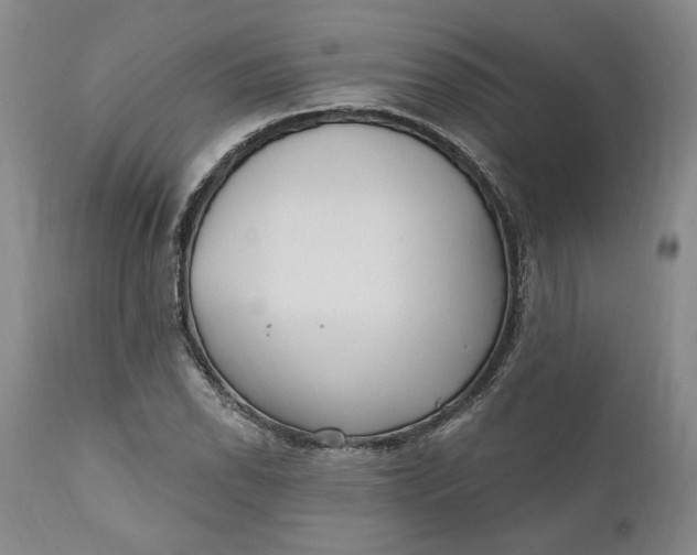 X0000110921118200907021452