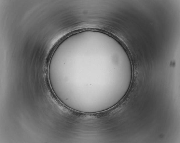 X0000110921119200907021452