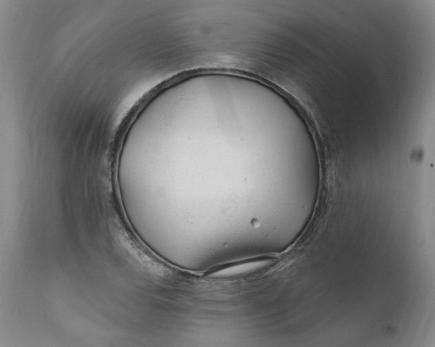 X0000110921120200907021452