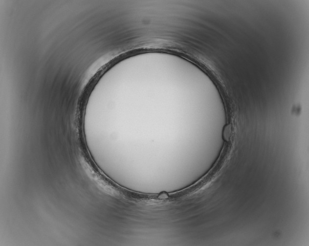 X0000110921122200907021453