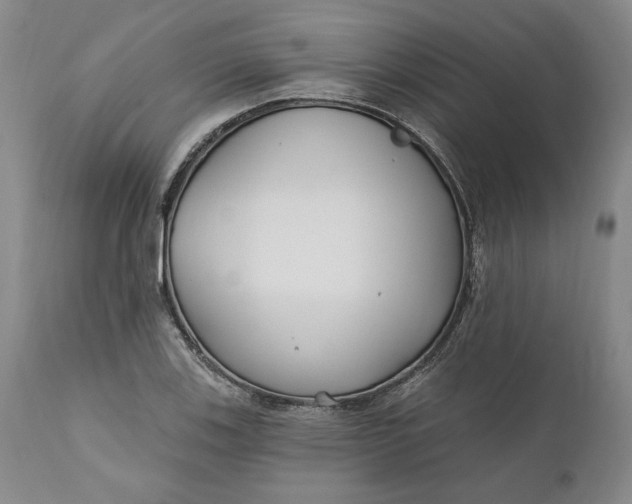 X0000110921123200907021453