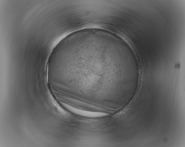 X0000110921127200907021453