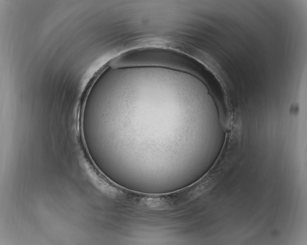 X0000110921128200907021453