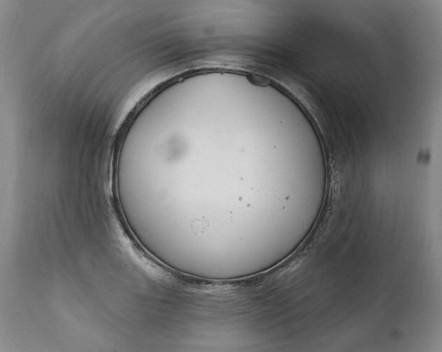 X0000110921131200907021453