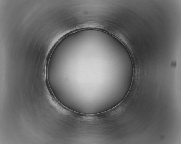 X0000110921132200907021453