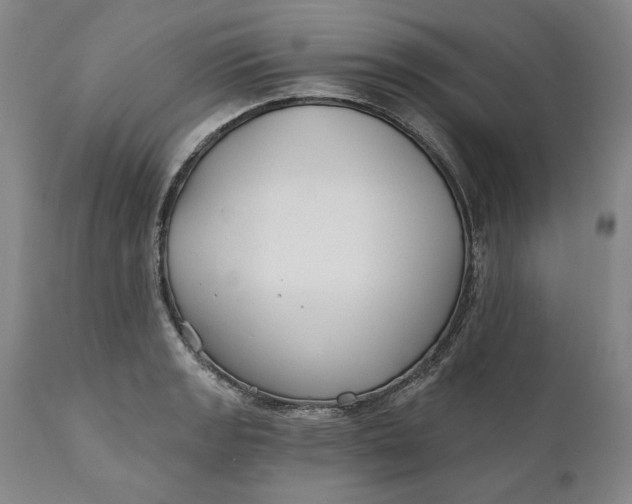X0000110921133200907021453