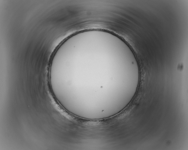 X0000110921134200907021453