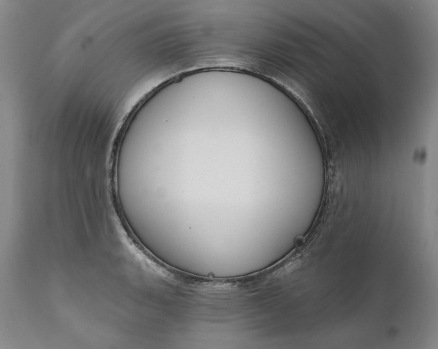 X0000110921135200907021453