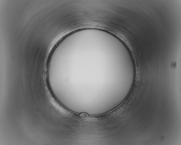 X0000110921136200907021453