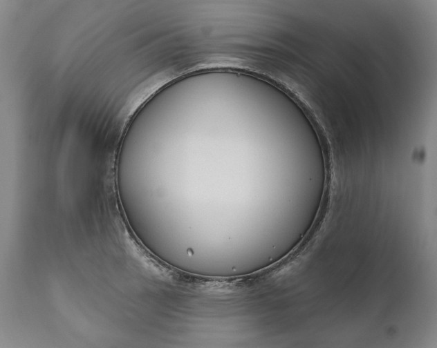 X0000110921137200907021453