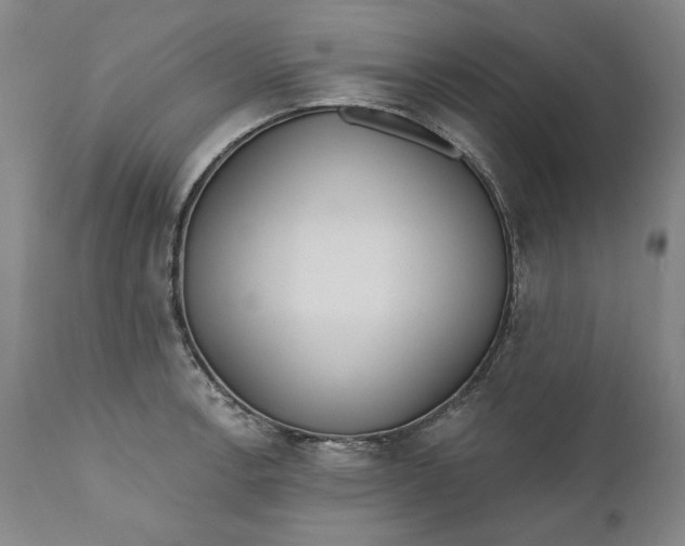X0000110921138200907021453