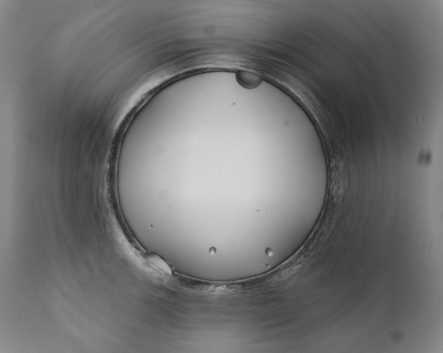 X0000110921139200907021453