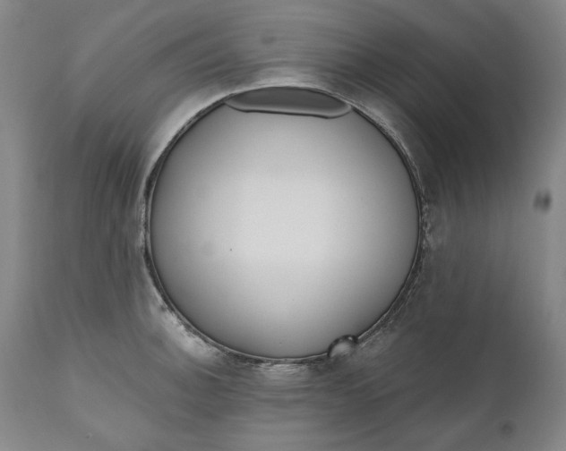 X0000110921140200907021453