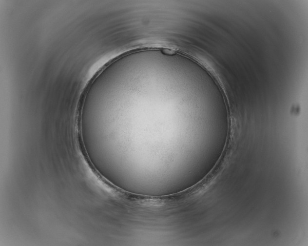 X0000110921141200907021453