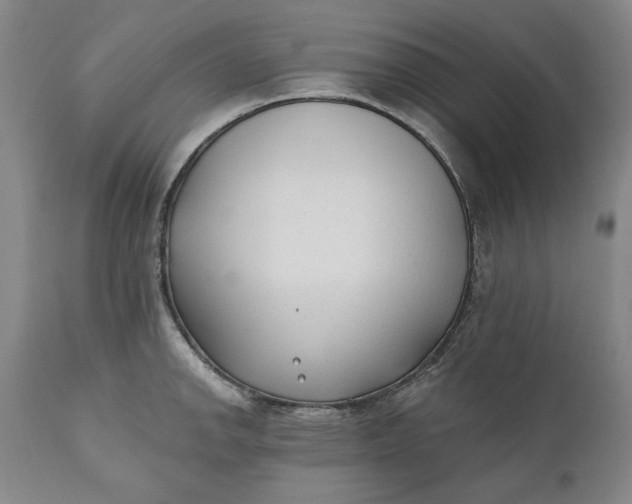 X0000110921142200907021453