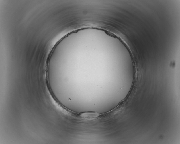 X0000110921143200907021453