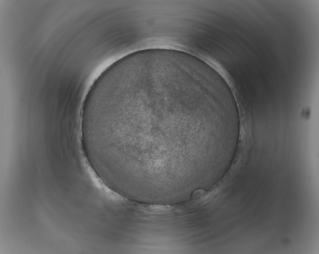 X0000110921144200907021453