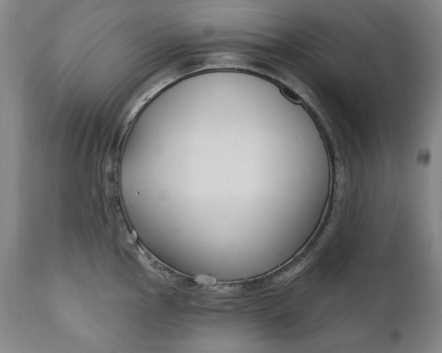X0000110921145200907021453