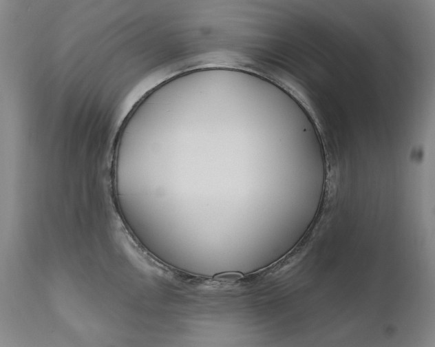 X0000110921146200907021453