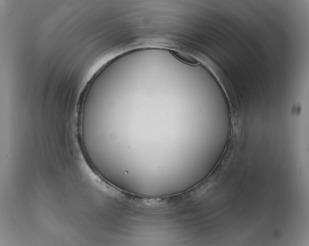 X0000110921147200907021453