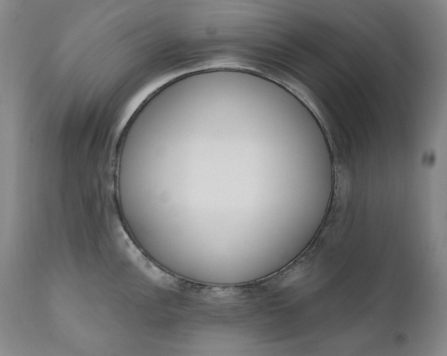 X0000110921148200907021453