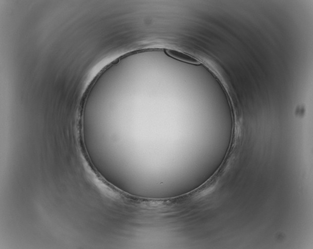 X0000110921149200907021453