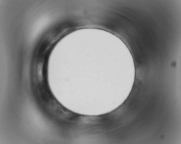 X0000110921150200907021453