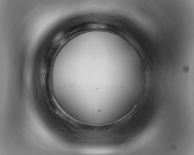 X0000110921151200907021453