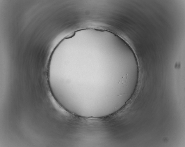 X0000110921152200907021453