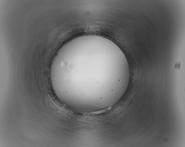 X0000110921153200907021452