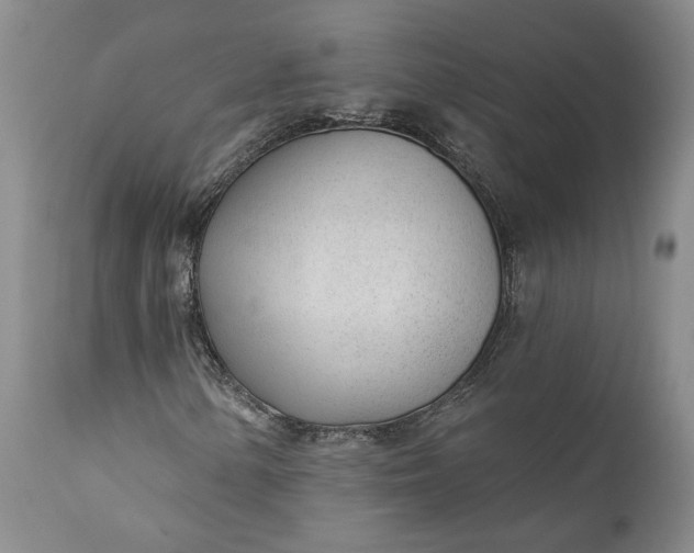 X0000110921154200907021452