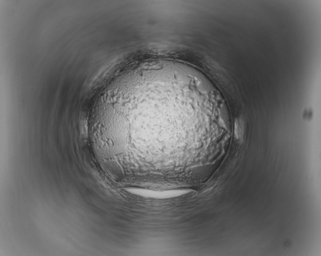 X0000110921155200907021452