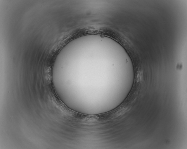 X0000110921156200907021452